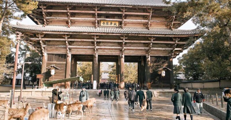 Nara: Private Walking Tour with a Local - The Experience of a Local Guide