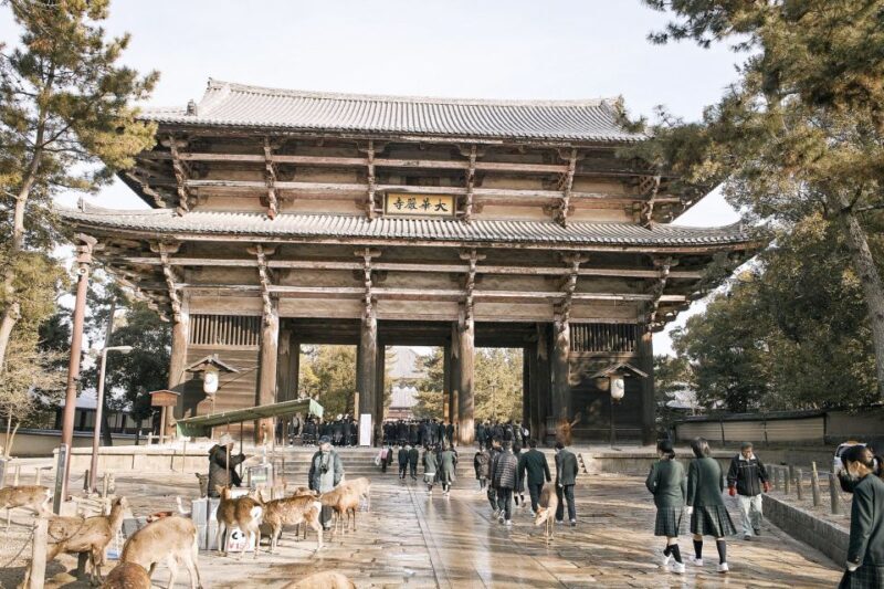 Nara: Private Walking Tour with a Local - Who Will Love This Tour?