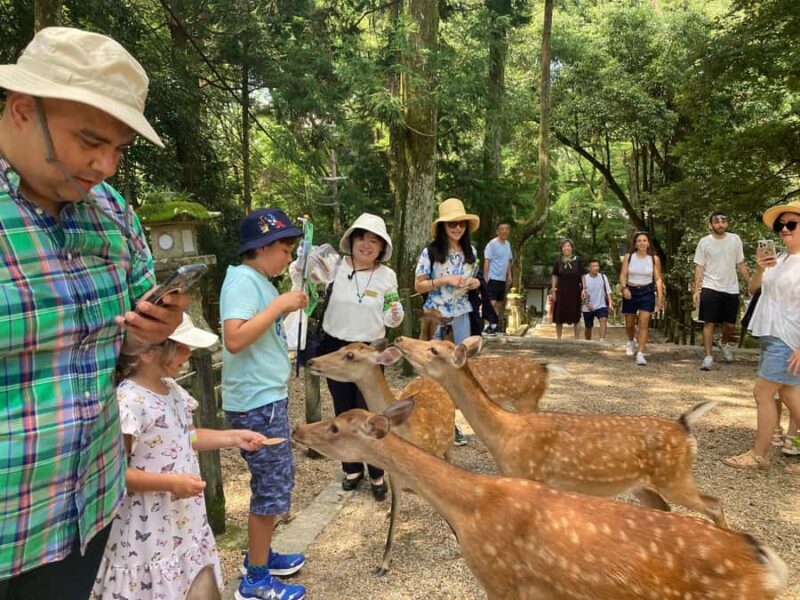 Nara: Professional Photography & Guided Walking Tour - FAQ