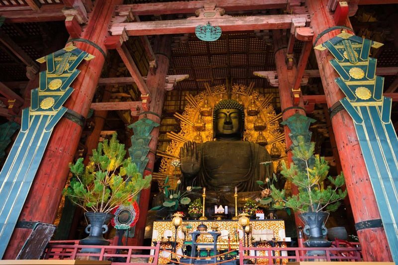 Nara: Sacred Deer & Tsubosaka-dera Full-Day Private Tour - What a private guide adds