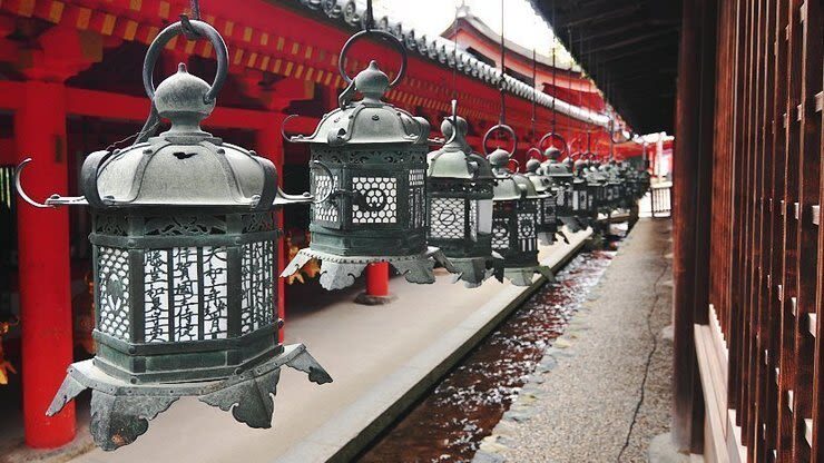 Nara: Sacred Deer & Tsubosaka-dera Full-Day Private Tour - Booking details to check