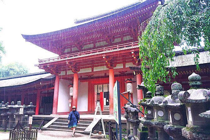 Nara: Sacred Morning Walk with Deer in the Mist - Returning through the Forest and Nara’s Hidden Corners