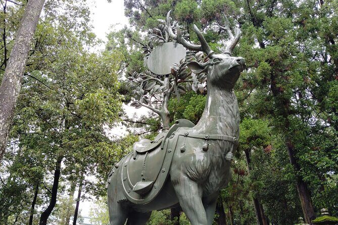 Nara: Sacred Morning Walk with Deer in the Mist - Is It Worth the Price?
