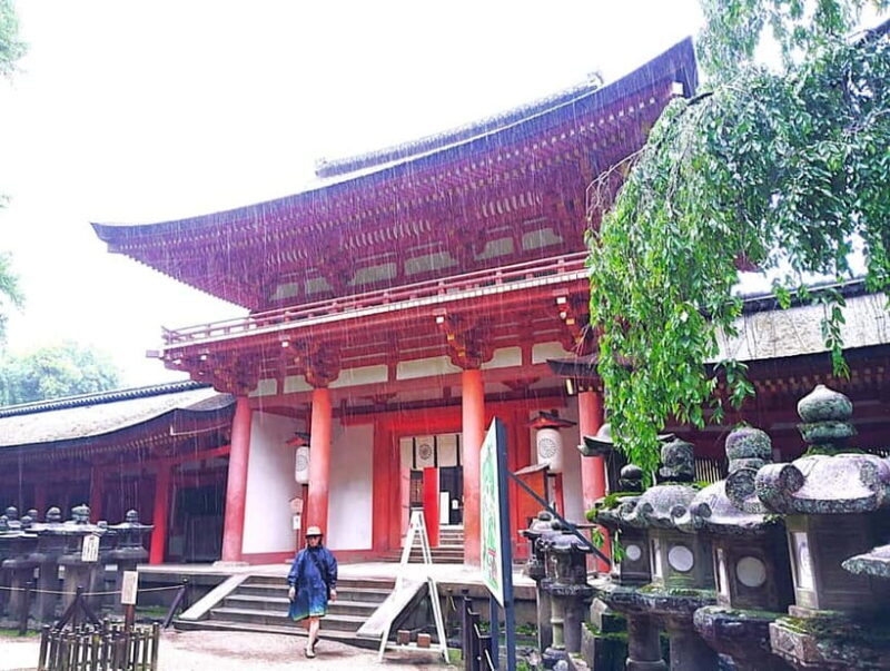 Nara: Sacred Morning Walk with Deer in the Mist - Good To Know