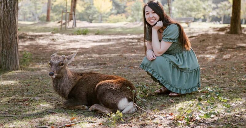 Nara Serenity: Memories Among Deer and Temples - Final Thoughts: Is It Worth It?