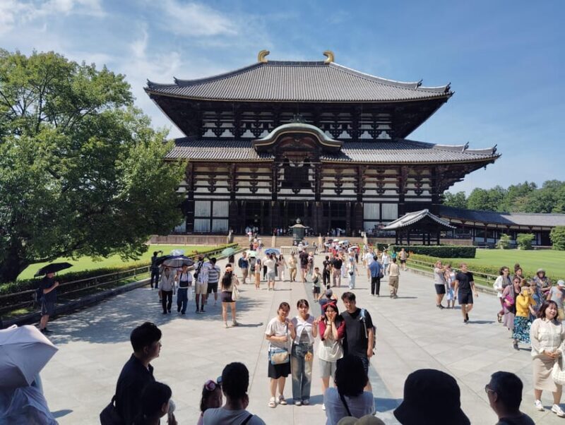 Nara: Todai-jis Great Buddha & All Its Treasures in 2 Hours - Who Should Consider This Tour
