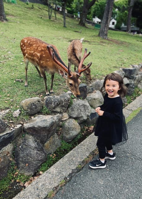 Nara: Todaiji, Kasuga and Nara Park (PRIVATE Group) - Discovering Kasuga Taisha Shrine