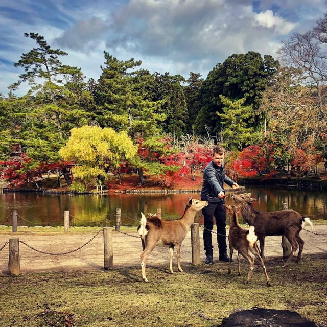 Nara: Todaiji, Kasuga and Nara Park (PRIVATE Group) - Kofukuji Temple Experience