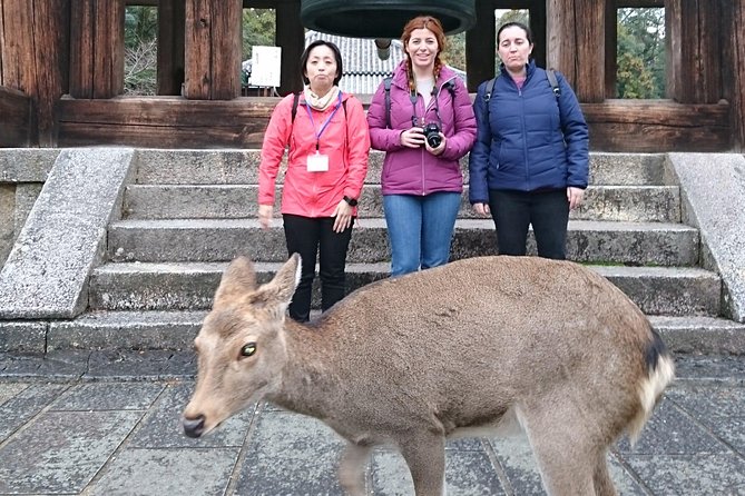Nara Todaiji Lazy Bird Tour - Visit Todai-ji Temple