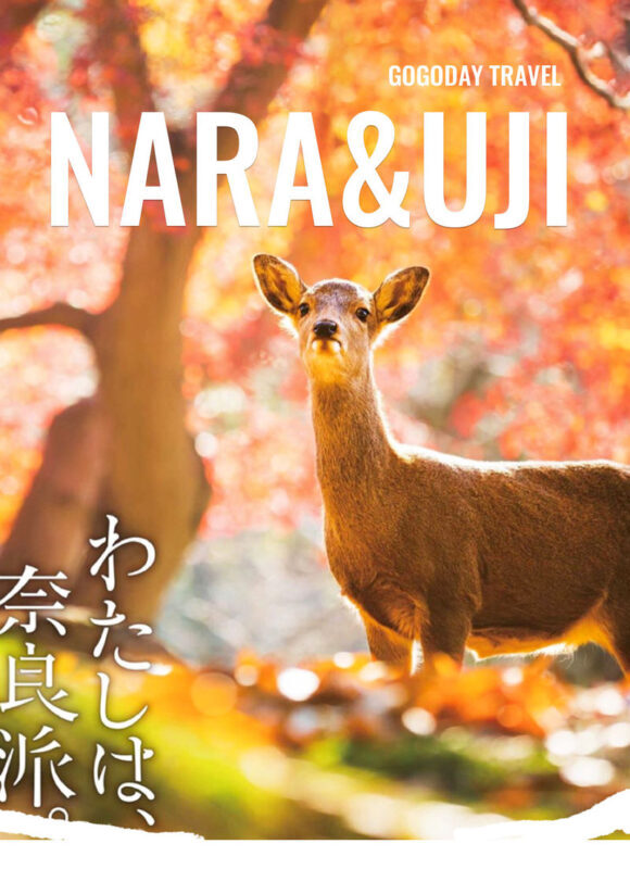 Nara & Uji Day Trip: Nara Park & Todai-ji Temple & Uji & Genji no Yu Onsen | Depart from Osaka - From Osaka to Nara’s deer park