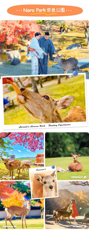 Nara & Uji Day Trip: Nara Park & Todai-ji Temple & Uji & Genji no Yu Onsen | Depart from Osaka - The onsen option: a rewarding soak with a time cost