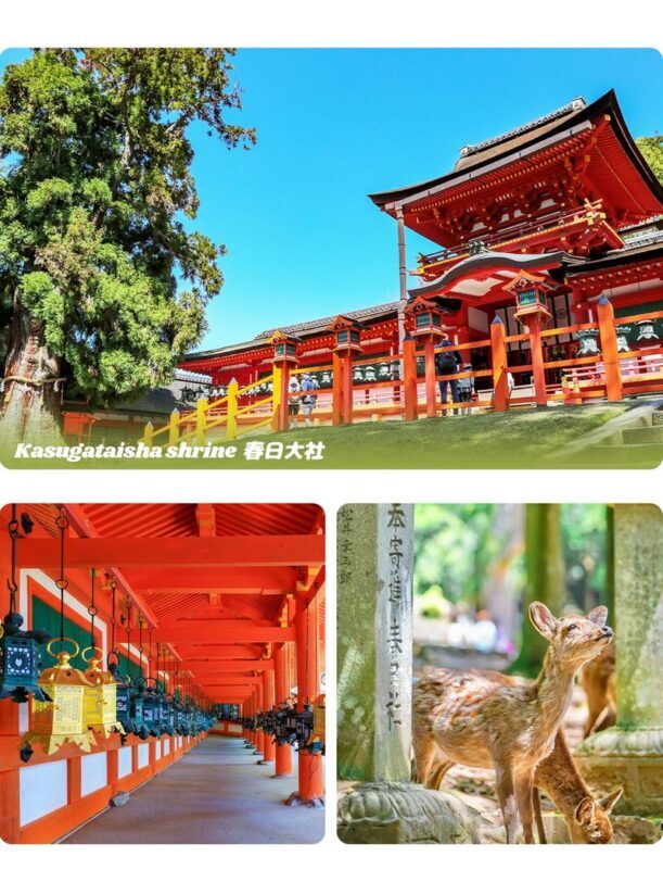Nara & Uji Day Trip: Nara Park & Todai-ji Temple & Uji & Genji no Yu Onsen | Depart from Osaka - What the guide can add