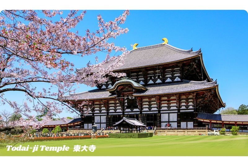 Nara & Uji Day Trip: Nara Park & Todai-ji Temple & Uji & Genji no Yu Onsen | Depart from Osaka - Is $44.85 good value?