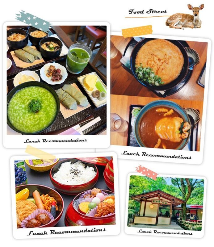 Nara & Uji Day Trip: Nara Park & Todai-ji Temple & Uji & Genji no Yu Onsen | Depart from Osaka - Who this day trip suits