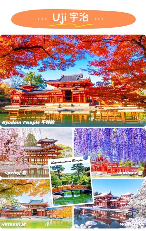Nara & Uji Day Trip: Nara Park & Todai-ji Temple & Uji & Genji no Yu Onsen | Depart from Osaka - Should you book it?