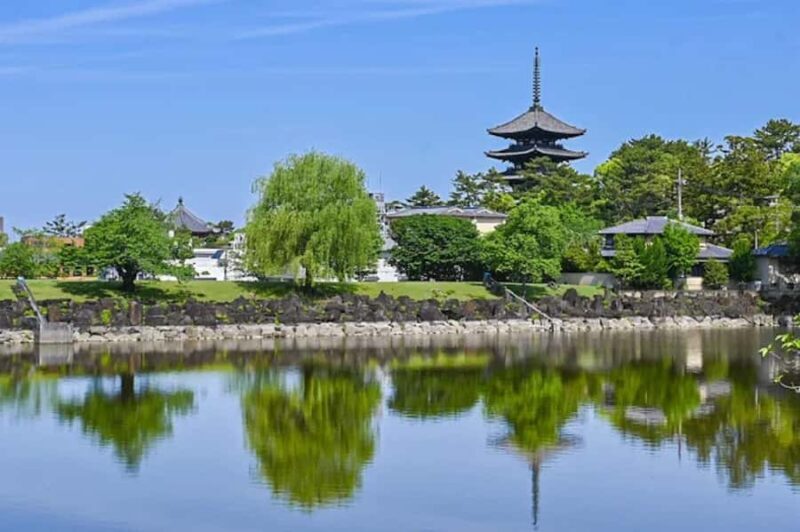 Nara & Uji Private Day Tour - Kyoto Comfort Culture Focused - FAQ