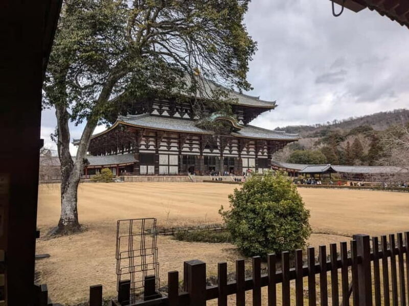 Nara: UNESCO Heritage Sites & Deer Park Tour with Pro guide - Who Should Consider This Tour?