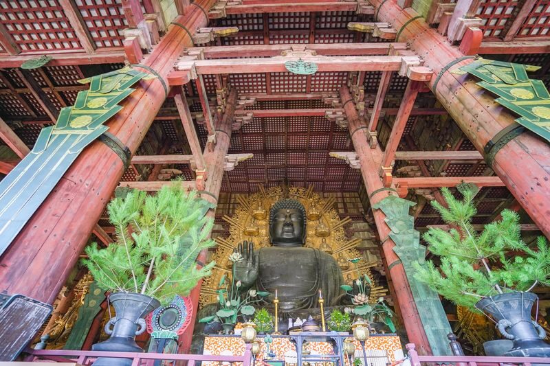 Nara UNESCO Walk: Todaiji, Great Buddha & Kasuga Taisha - Lunch, then a change of scene