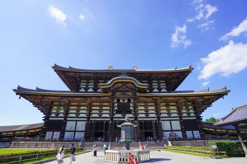 Nara UNESCO Walk: Todaiji, Great Buddha & Kasuga Taisha - Kasuga Taisha and Nara’s deer