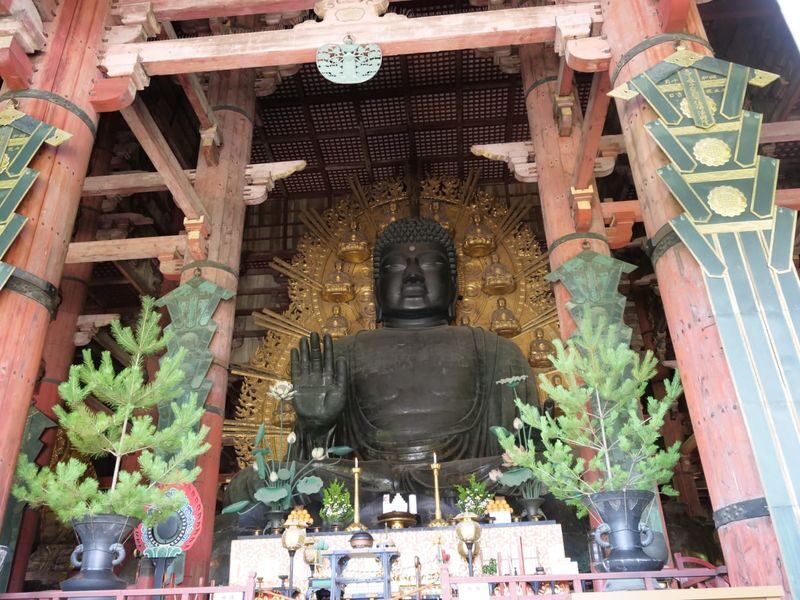 Nara UNESCO Walk: Todaiji, Great Buddha & Kasuga Taisha - Is the $100.29 starting price worthwhile?
