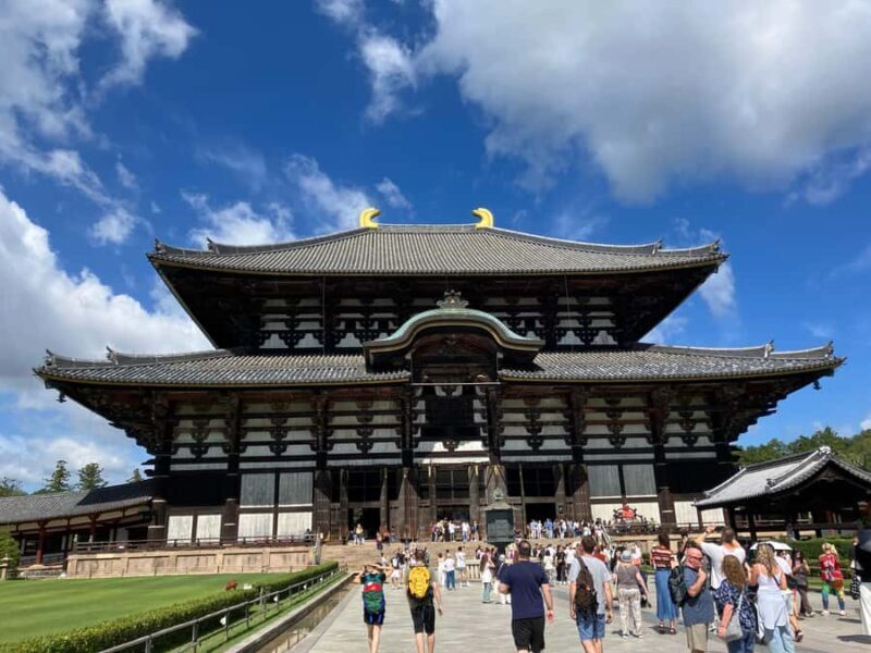 Nara Walking Tour for Small Groups: Temples and Deer - Practical Details: What to Expect