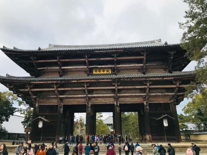 Nara Walking Tour for Small Groups: Temples and Deer - Value and Cost Analysis