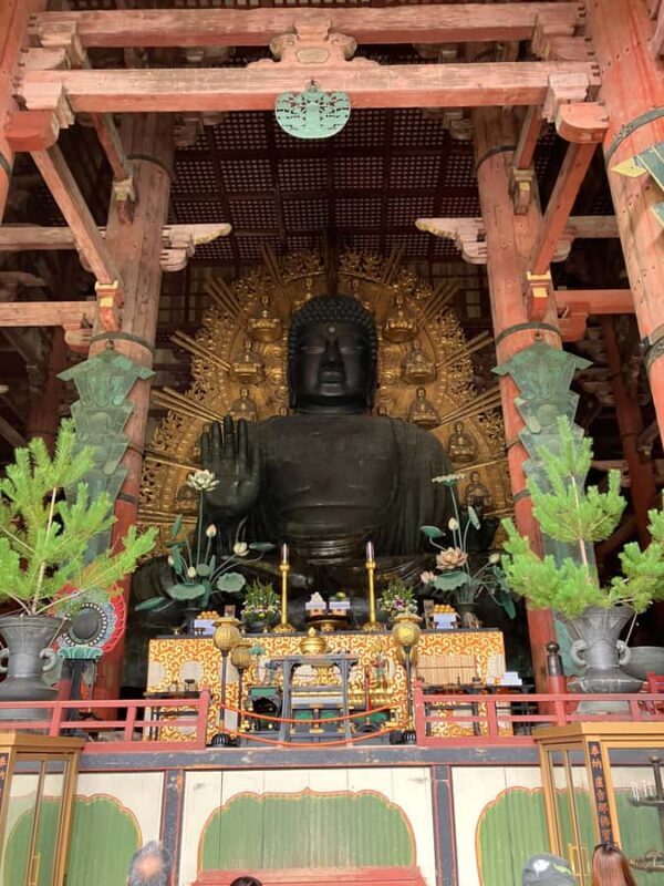 Nara Walking Tour for Small Groups: Temples and Deer - FAQ