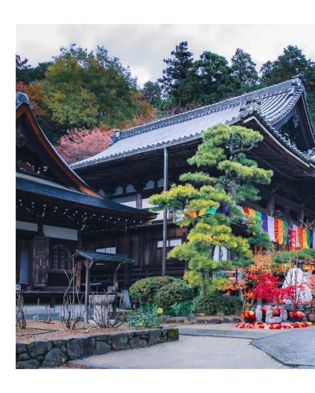 Nara: Walking Tour with History, and spiritual stories - In-Depth Look at the Nara Guided Walking Tour