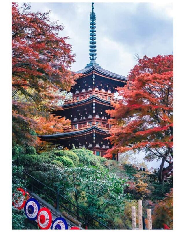 Nara: Walking Tour with History, and spiritual stories - Final Verdict: Who Will Love This Tour?