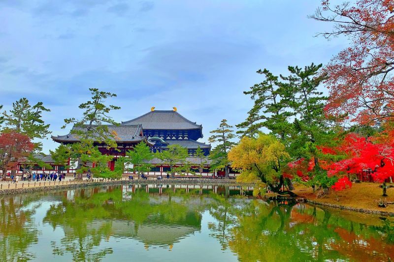 Nara World Heritage PRIVATE TOUR - Kofukuji closes the temple route
