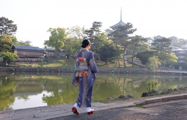 Nara World Heritage PRIVATE TOUR - What the price covers, and what it does not