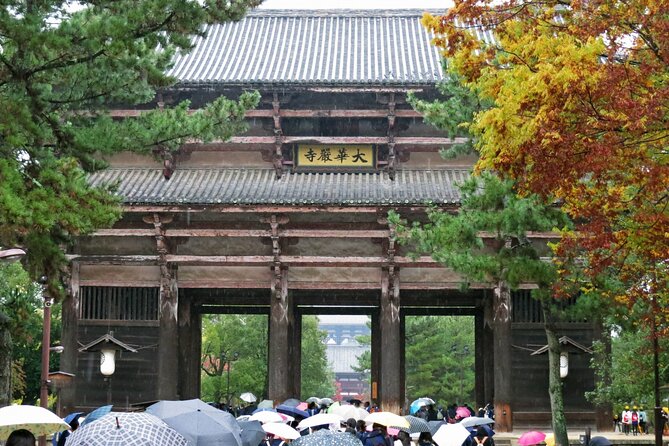 Nara World Heritage Todaiji Visit and Naramachi Tour - Local Delights: Indulging in Naras Culinary Scene