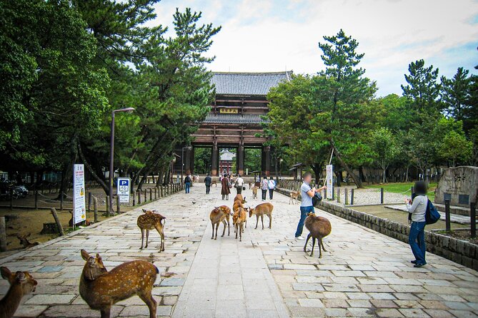Nara World Heritage Todaiji Visit and Naramachi Tour - Practical Information: Tips for a Smooth Tour Experience