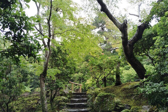 Nara: Yoshikien and Isuien Gardens Tour with Tea Tasting - The Sum Up
