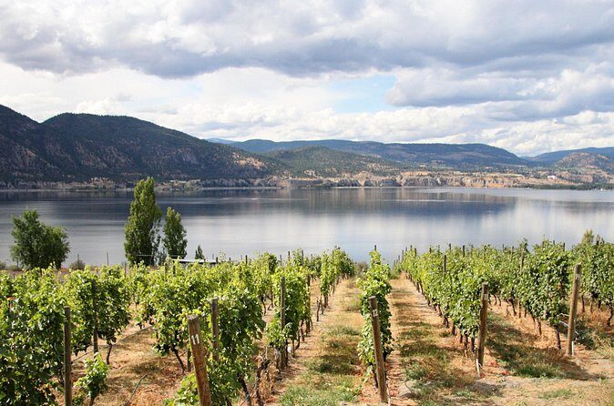 Naramata Public Wine Tour - Full Day - FAQs