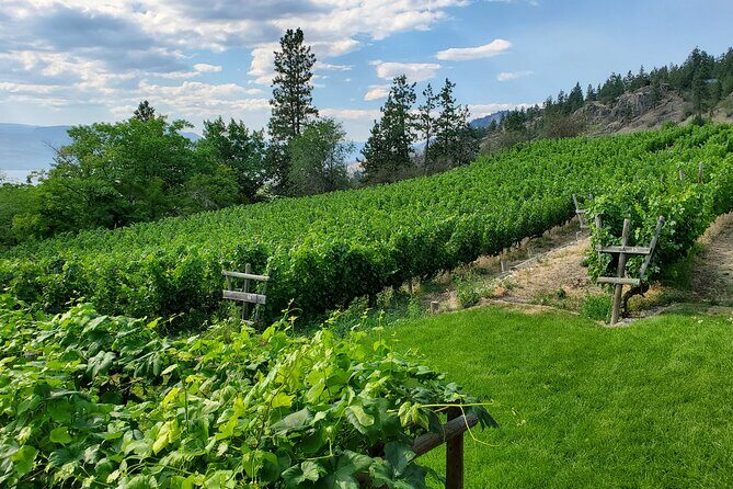 Naramata Public Wine Tour - Half Day - FAQ