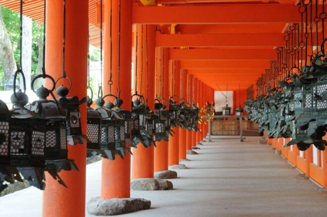 Nara:Private Walking Tour With Famous Spot & Sake & Mochi - Participant Restrictions