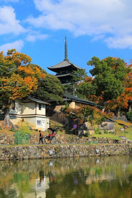 Nara:Private Walking Tour With Famous Spot & Sake & Mochi - Booking and Cancellation Policy