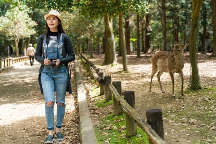 Nara's Historical Wonders: A Journey Through Time and Nature - Todai-ji: The Giant Buddha