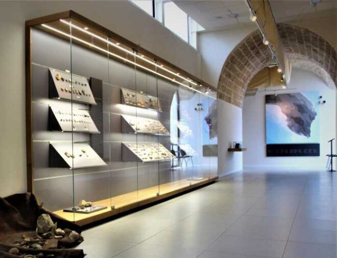Nardò (Nardò-Lecce): Guided Tour of the Museum of Prehistory - Highlights of the Museum