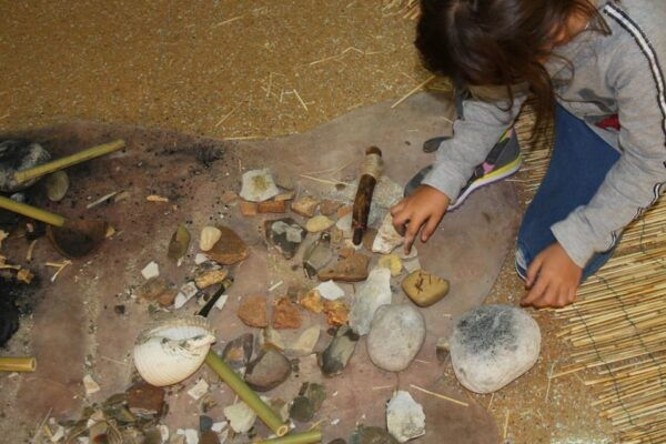 Nardò (Nardò-Lecce): Guided Tour of the Museum of Prehistory - Language Options Available