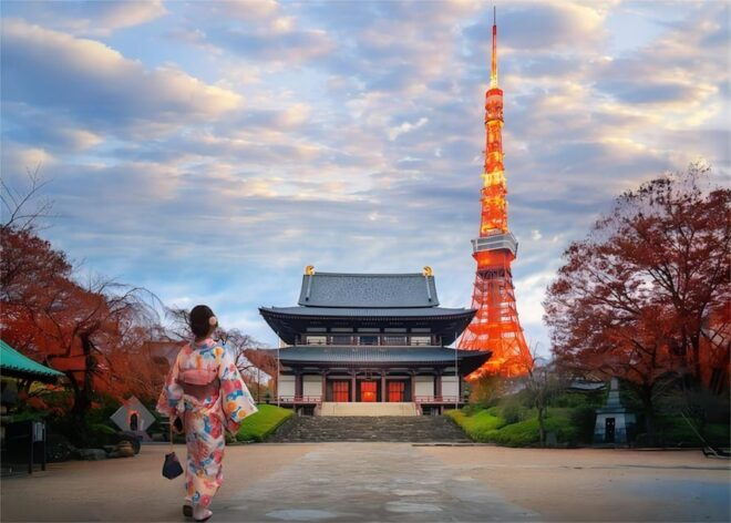Narita Airport (Nrt) Private Transfer To/From Tokyo Region - Payment Details