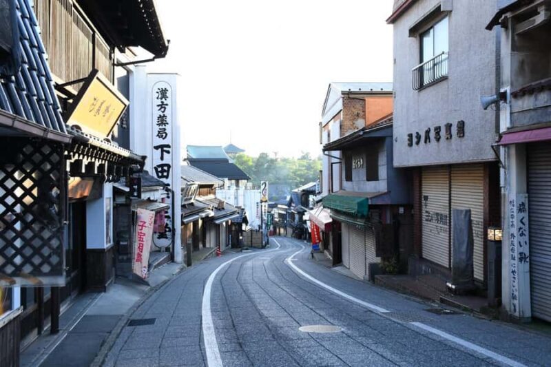 Narita: Shinshoji Temple Highlights Walk & Peace Pagoda - Practical Details