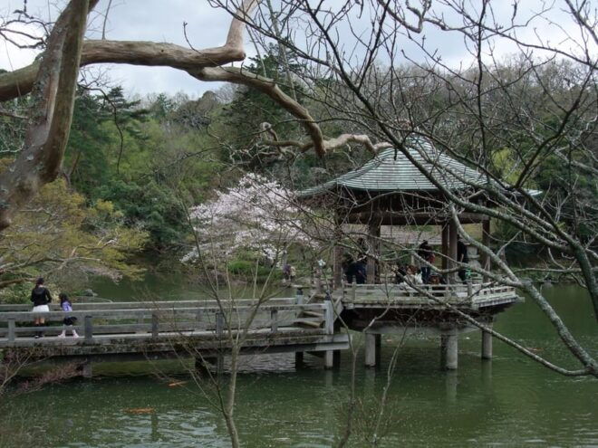 Narita: Walking Tour, Omotesando Street, Narita-San Temple - Goma Prayer Ceremony Experience