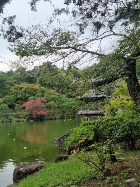 Narita: Walking Tour, Omotesando Street, Narita-San Temple - Booking Your Tour