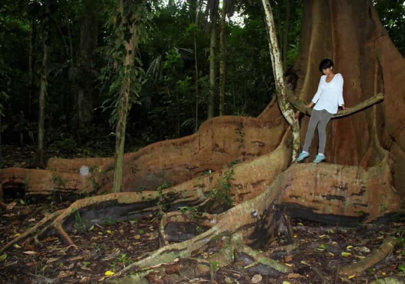 Nariva Swamp: Monkey Viewing Experience - Value and Considerations