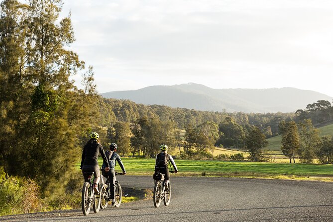 Narooma - E-Bike Hire 2 Hour Rental - Cancellation Policy