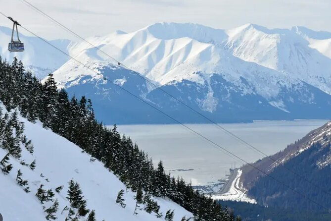Narrated Alyeska/Girdwood Shuttle From Anchorage - Photo Stops - A Scenic Introduction to Alaska: What to Expect