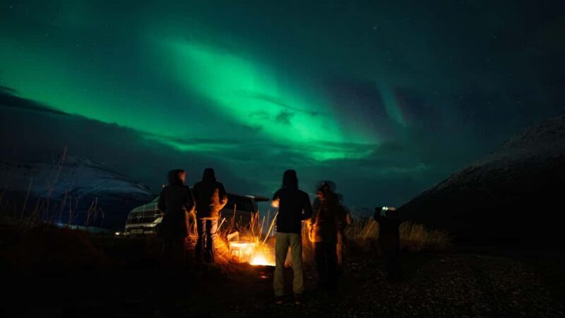 Narvik: Guided Northern Lights Tour with Photography Tips - An In-Depth Look at the Tour