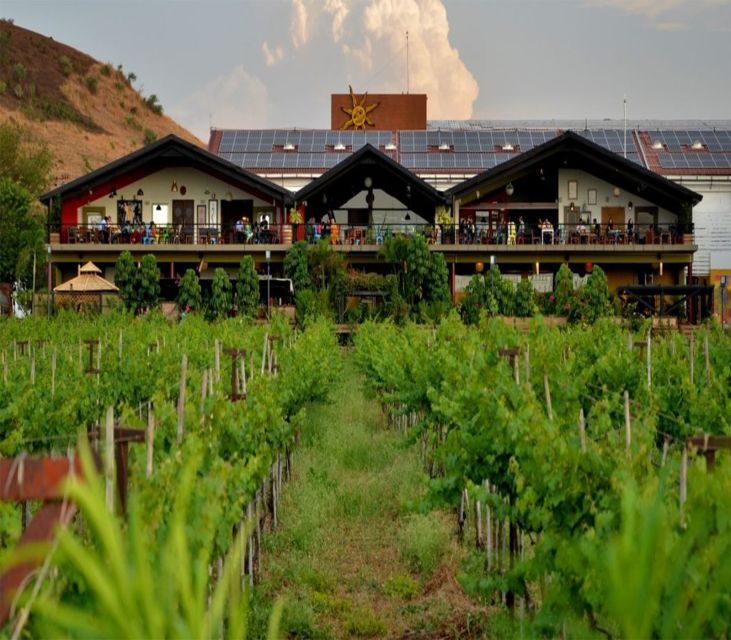 Nashik: Private Full-Day Wine Tour With Tastings From Mumbai - Tour Description
